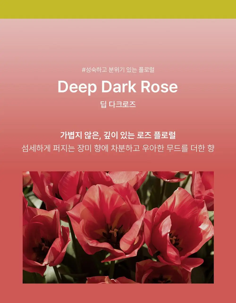 [향기폭탄] 말콤 약산성 알러지프리 바디워시 520ml(5가지향) 상세페이지 12